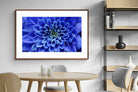 Pixalot ® Blue Petals