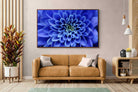 Pixalot ® Blue Petals
