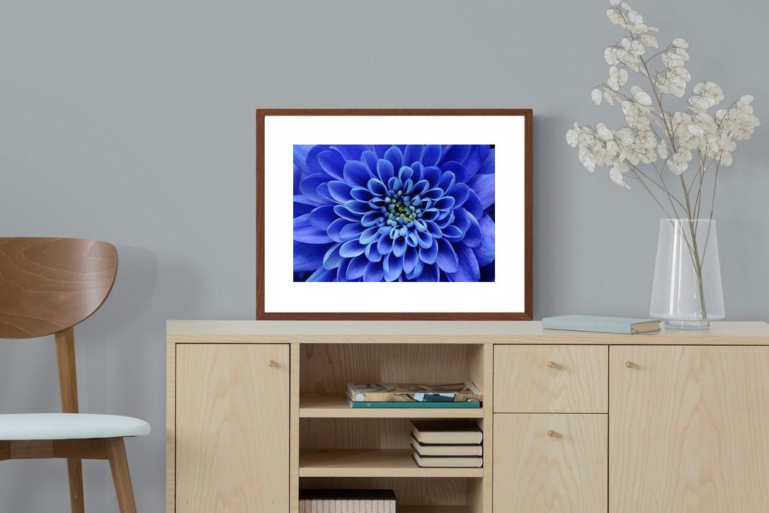 Pixalot ® Blue Petals