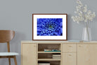 Pixalot ® Blue Petals