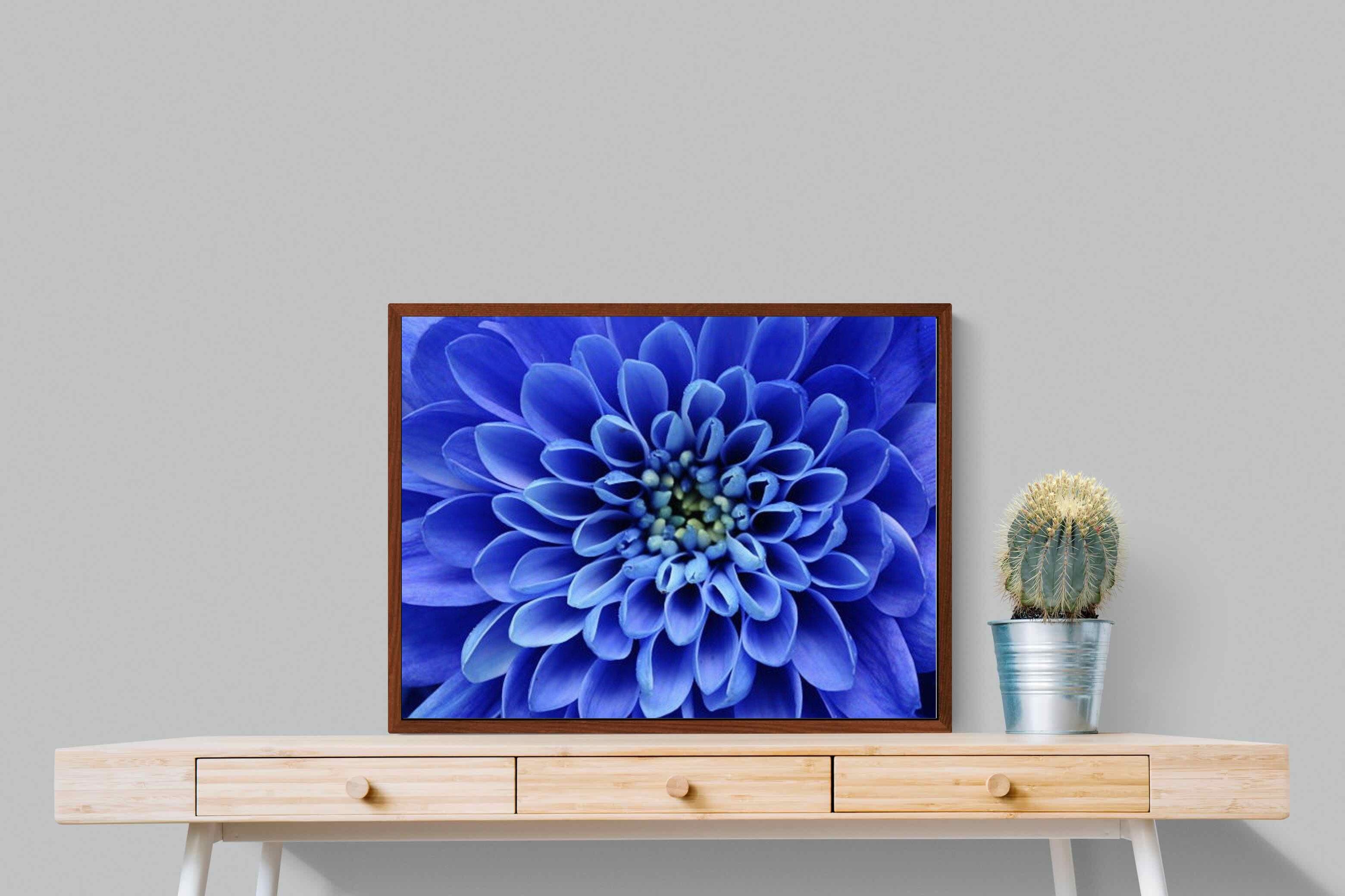 Pixalot ® Blue Petals