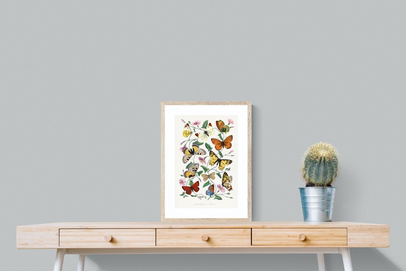 Pixalot Botanical Lepidoptera