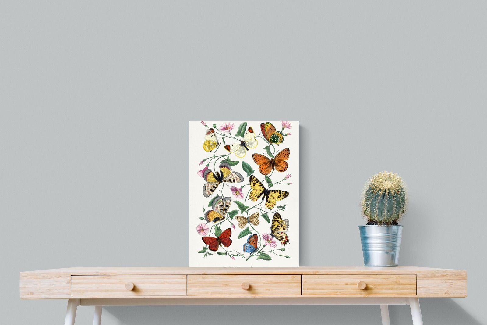 Pixalot Botanical Lepidoptera