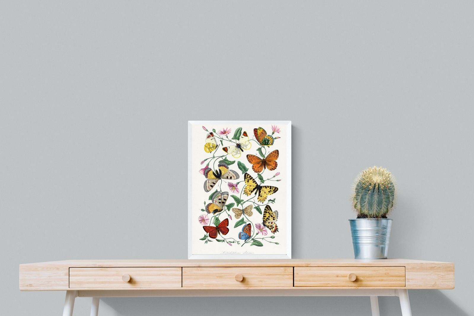 Pixalot Botanical Lepidoptera