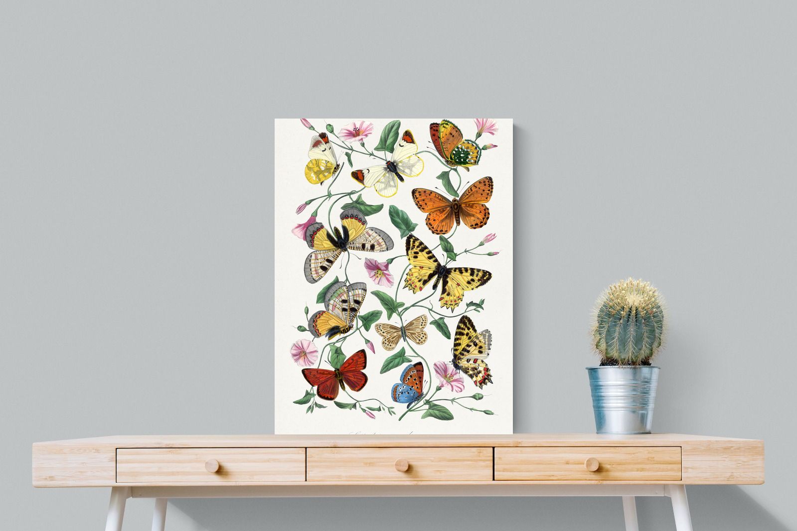 Pixalot Botanical Lepidoptera