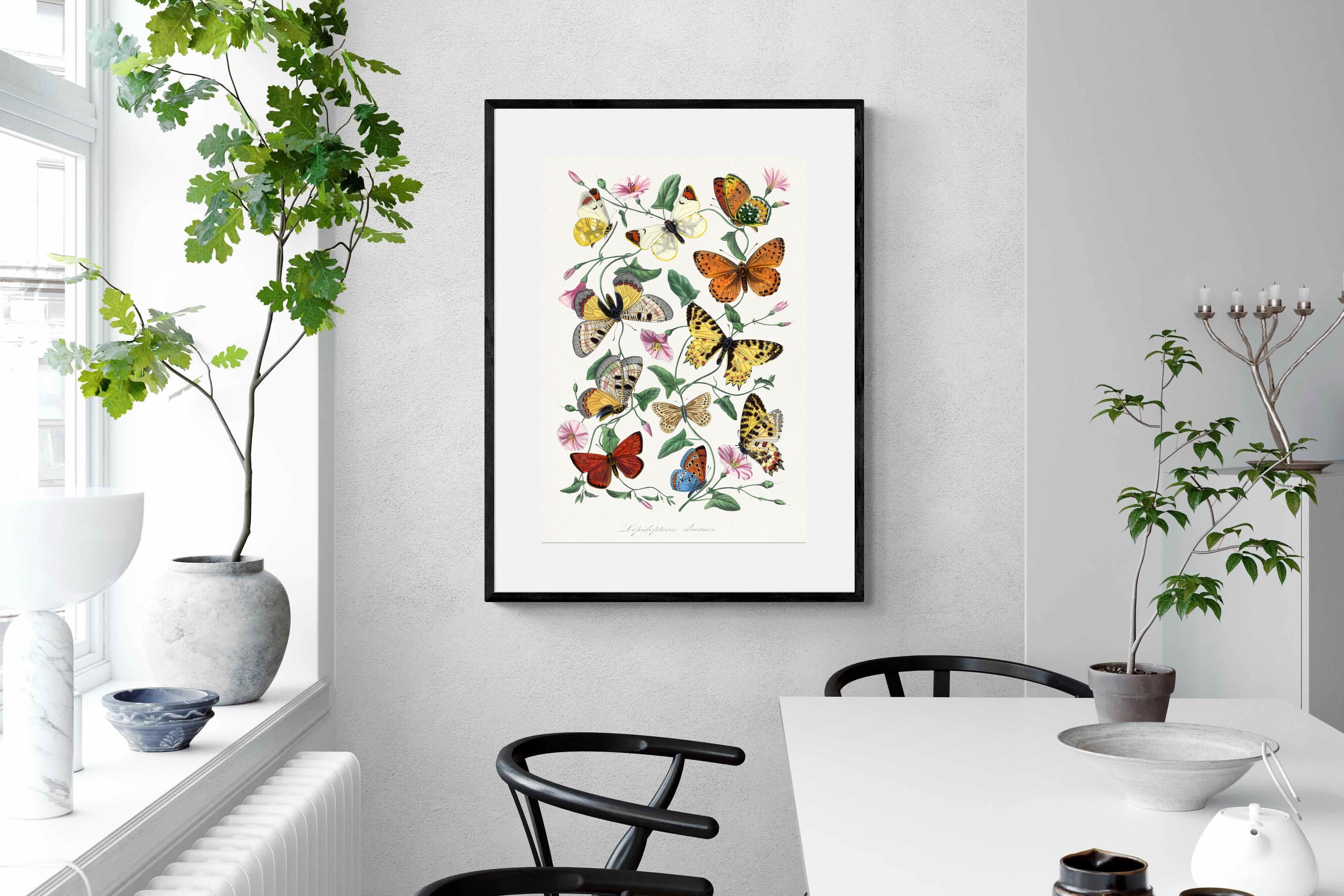 Pixalot Botanical Lepidoptera