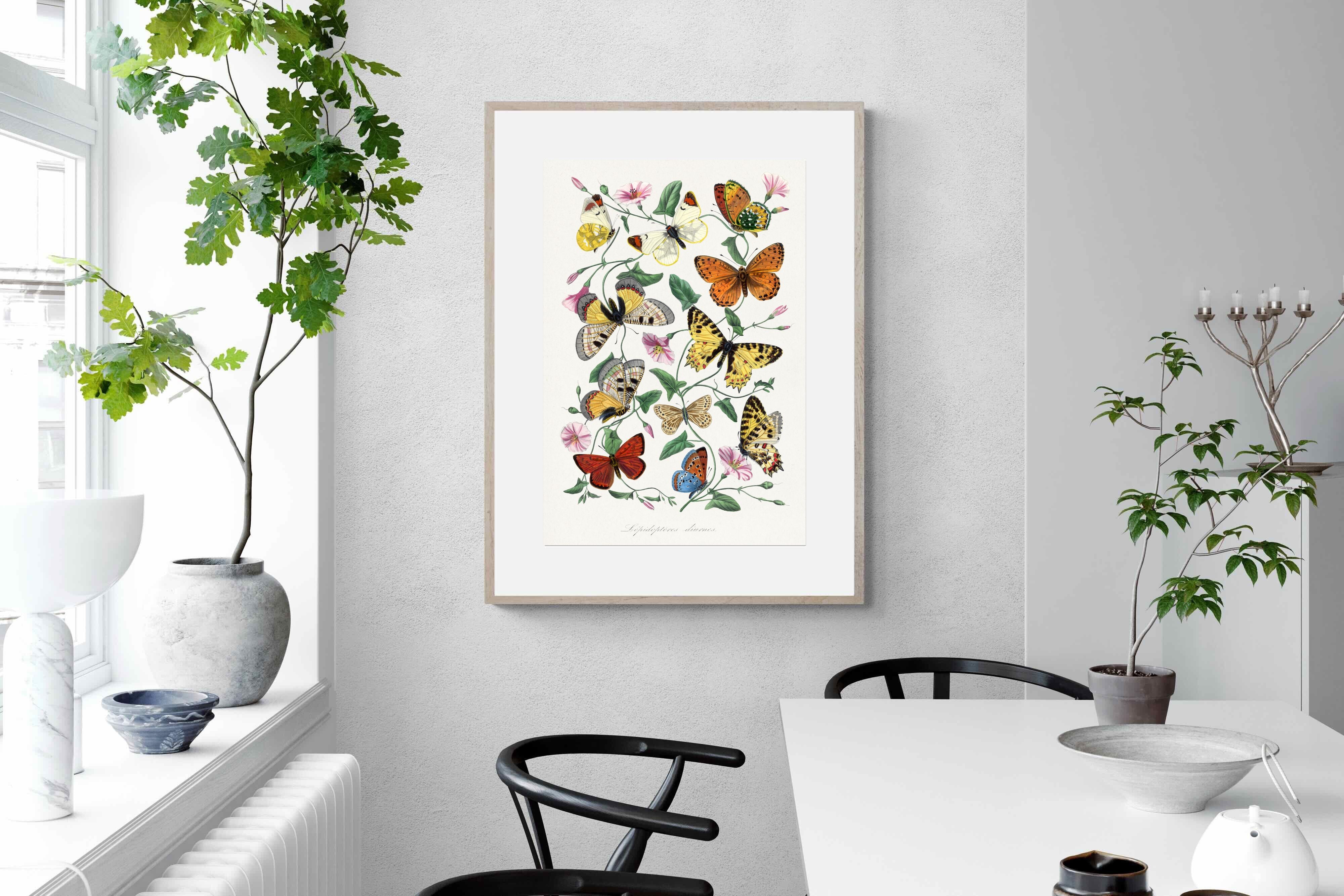 Pixalot Botanical Lepidoptera