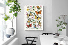 Pixalot Botanical Lepidoptera