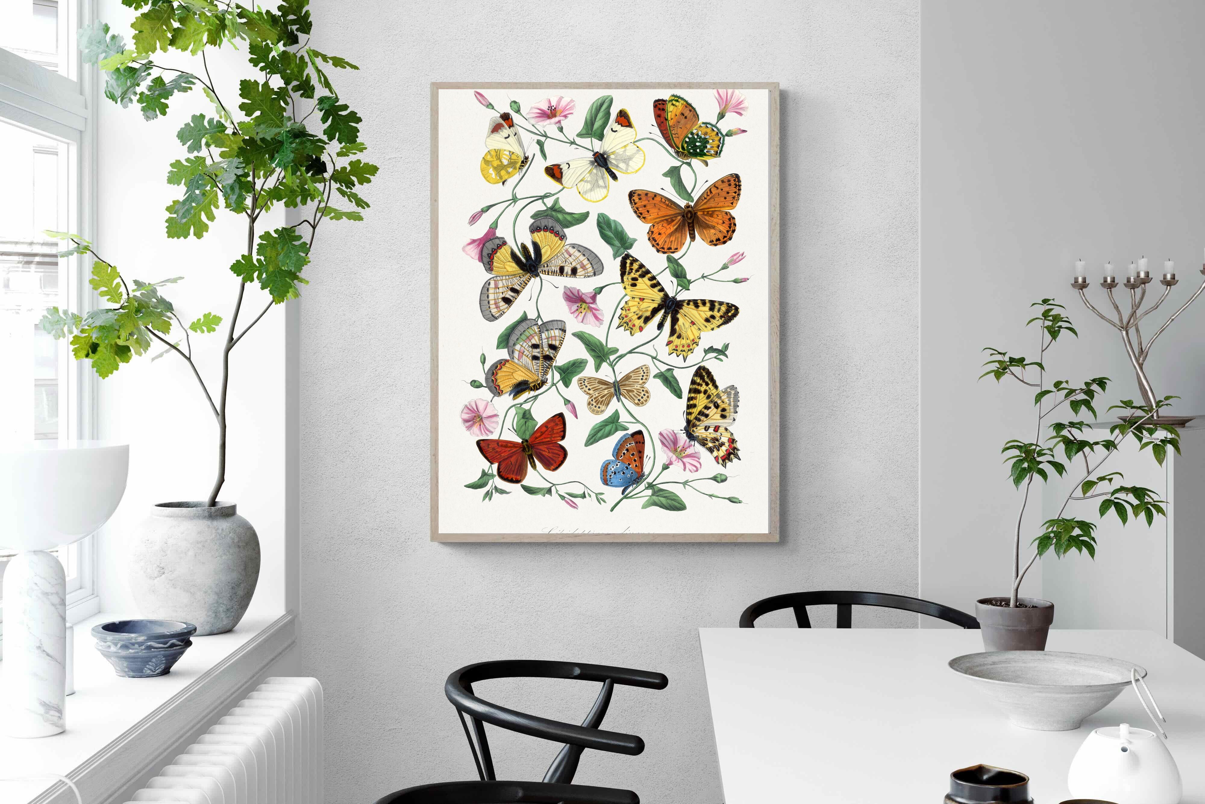 Pixalot Botanical Lepidoptera