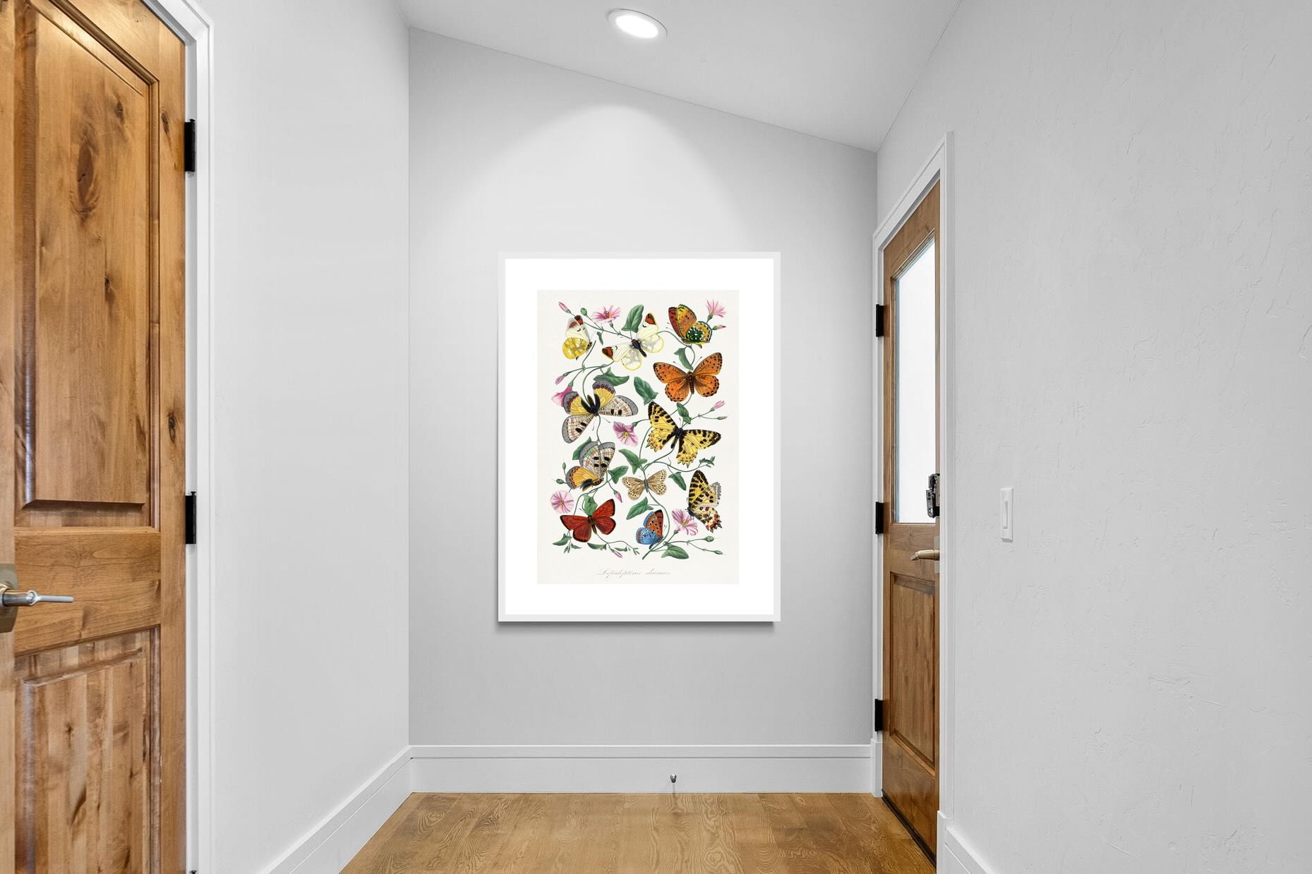 Pixalot Botanical Lepidoptera