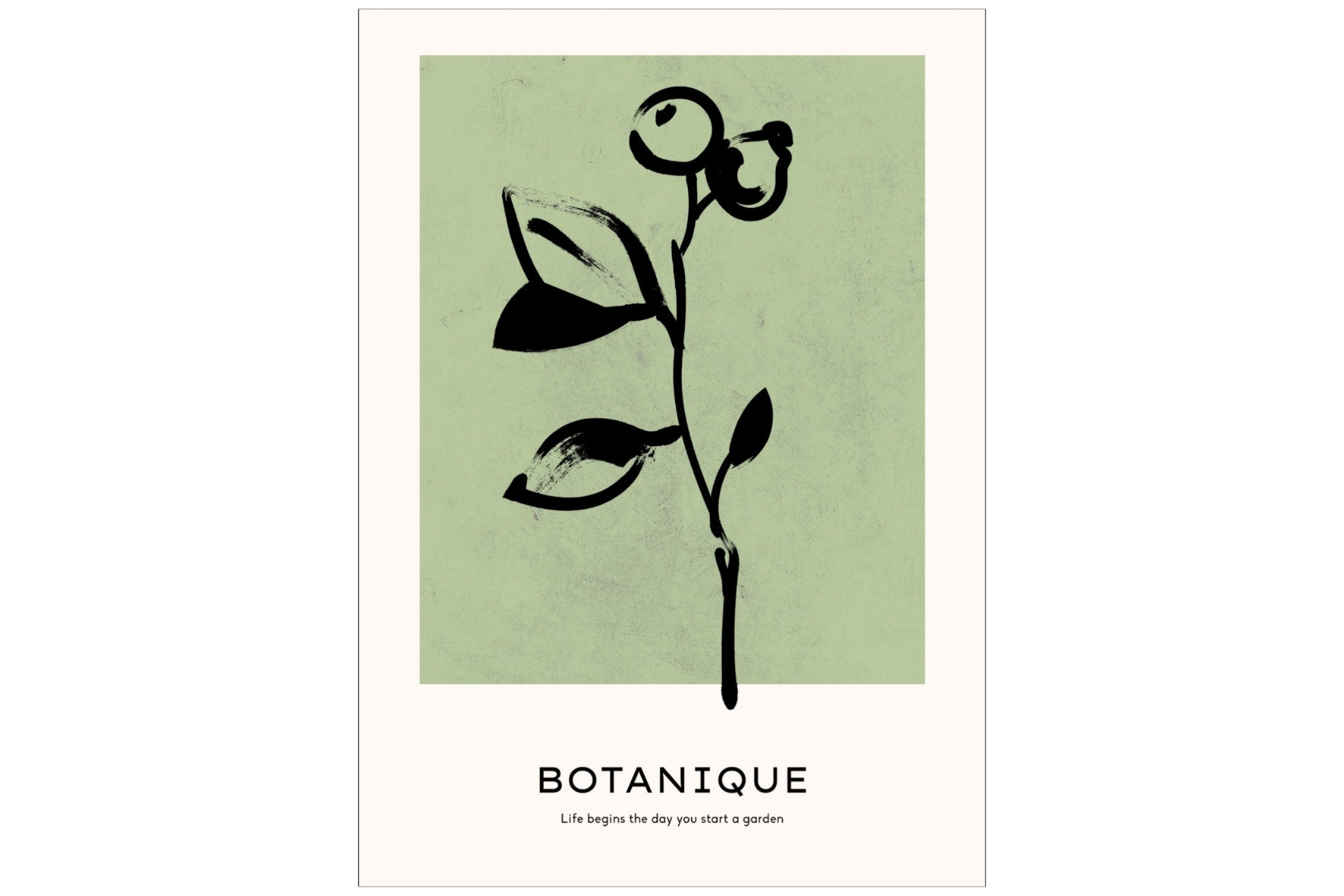 Botanique