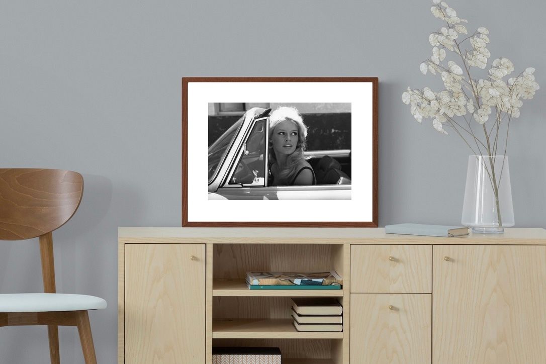 Pixalot ® Brigitte Bardot Driving