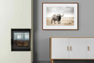 Pixalot ® Broad Buffalo