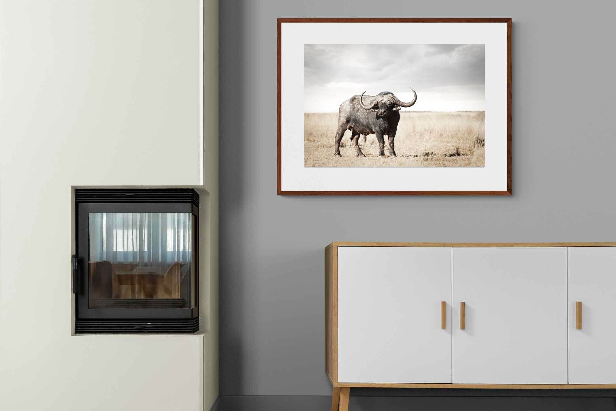 Pixalot ® Broad Buffalo