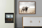 Pixalot ® Broad Buffalo