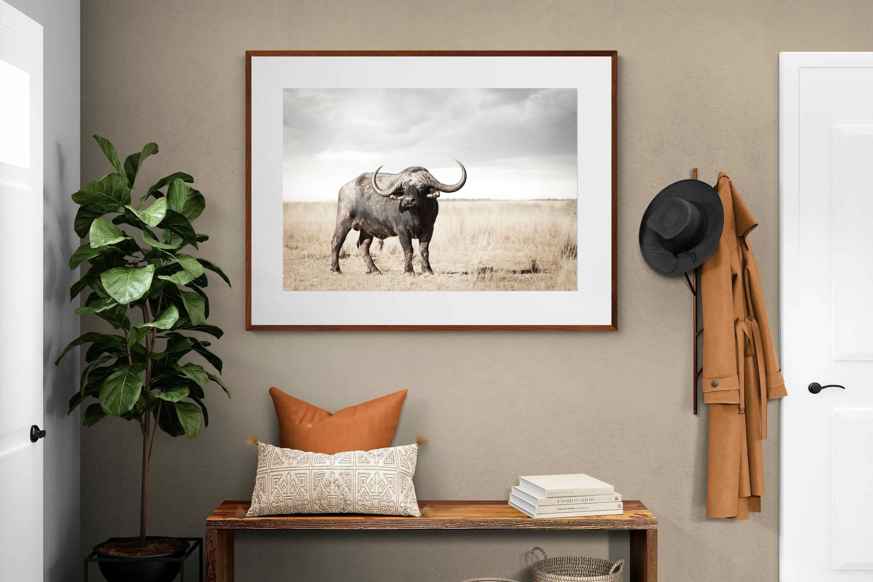 Pixalot ® Broad Buffalo