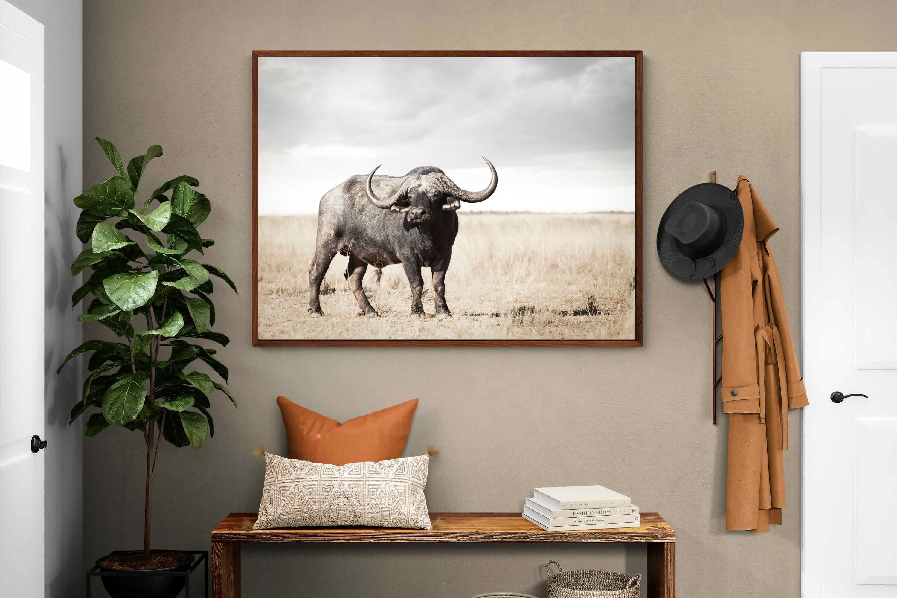 Pixalot ® Broad Buffalo