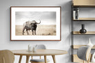 Pixalot ® Broad Buffalo
