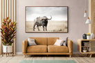 Pixalot ® Broad Buffalo