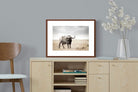 Pixalot ® Broad Buffalo