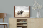 Pixalot ® Broad Buffalo