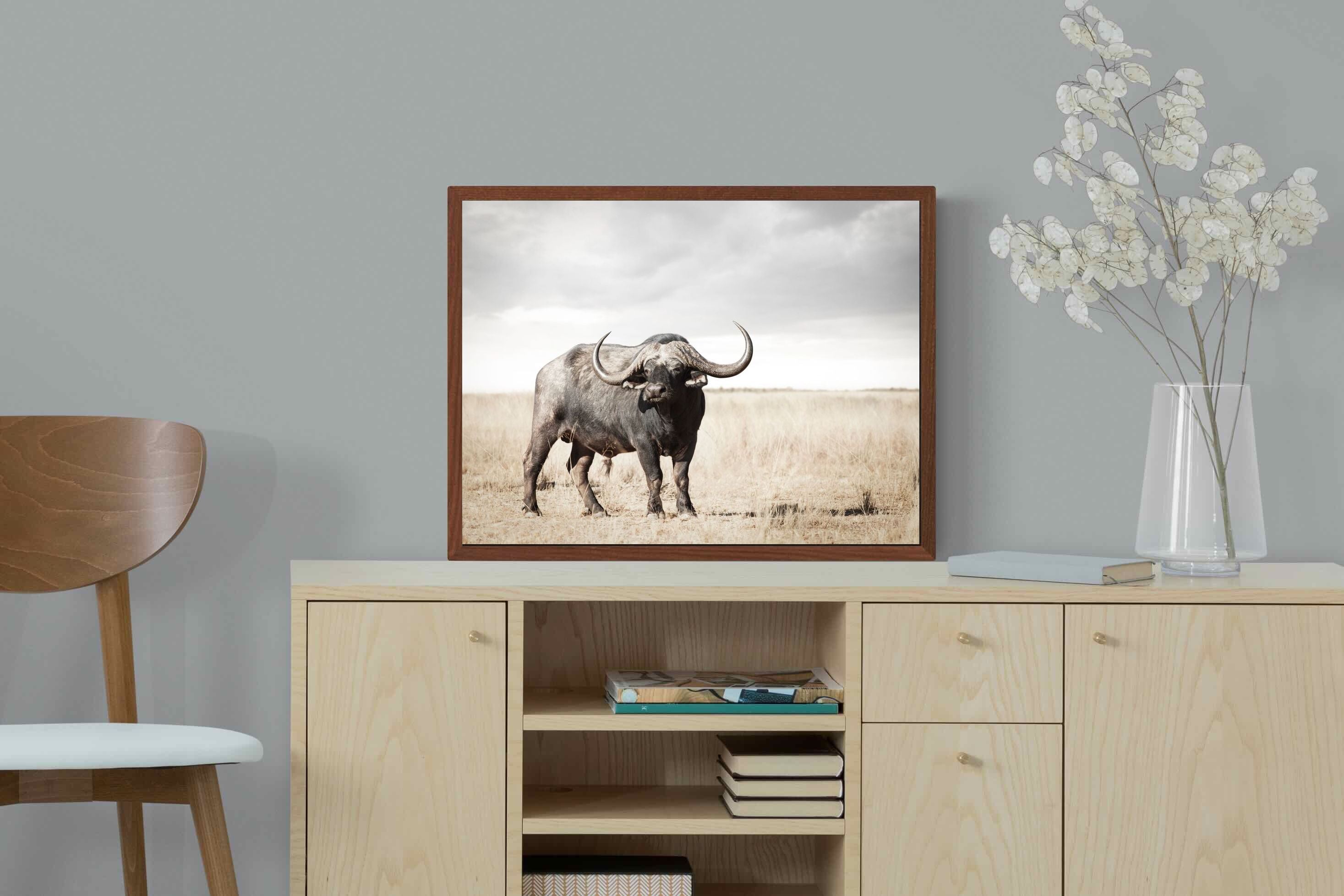 Pixalot ® Broad Buffalo