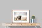 Pixalot ® Broad Buffalo