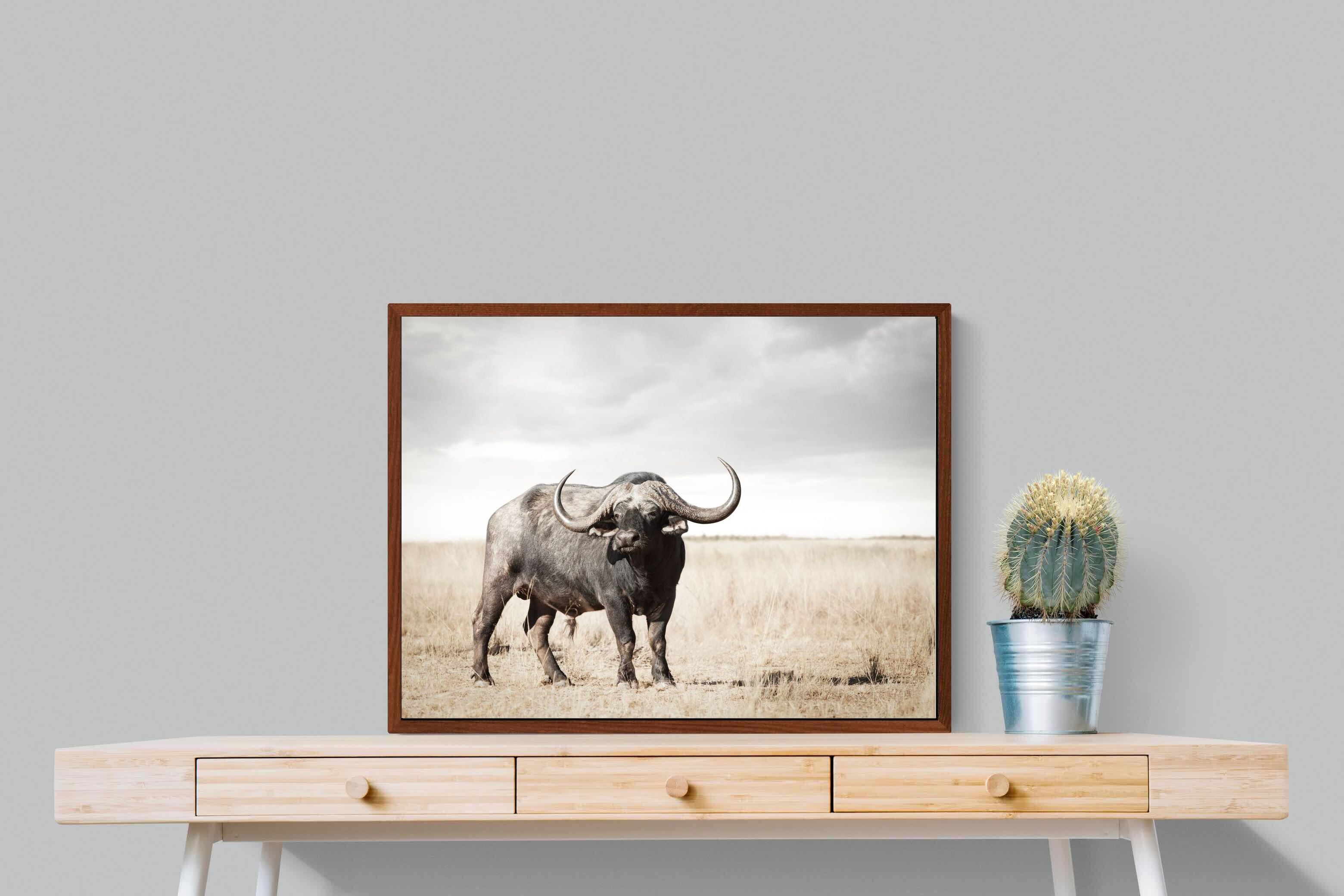 Pixalot ® Broad Buffalo