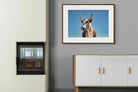 Pixalot ® Brown Nguni