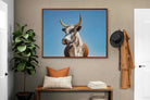 Pixalot ® Brown Nguni