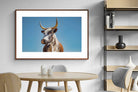Pixalot ® Brown Nguni
