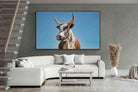 Pixalot ® Brown Nguni