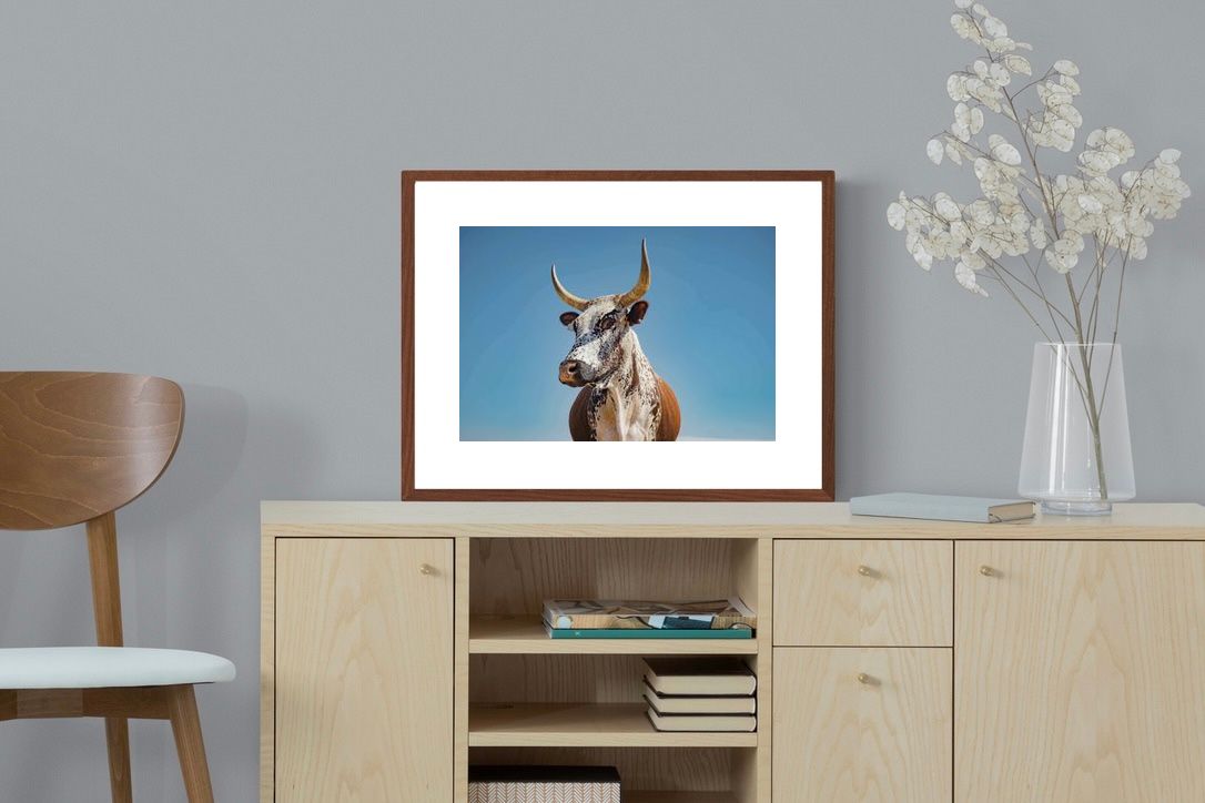 Pixalot ® Brown Nguni