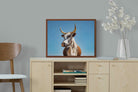 Pixalot ® Brown Nguni
