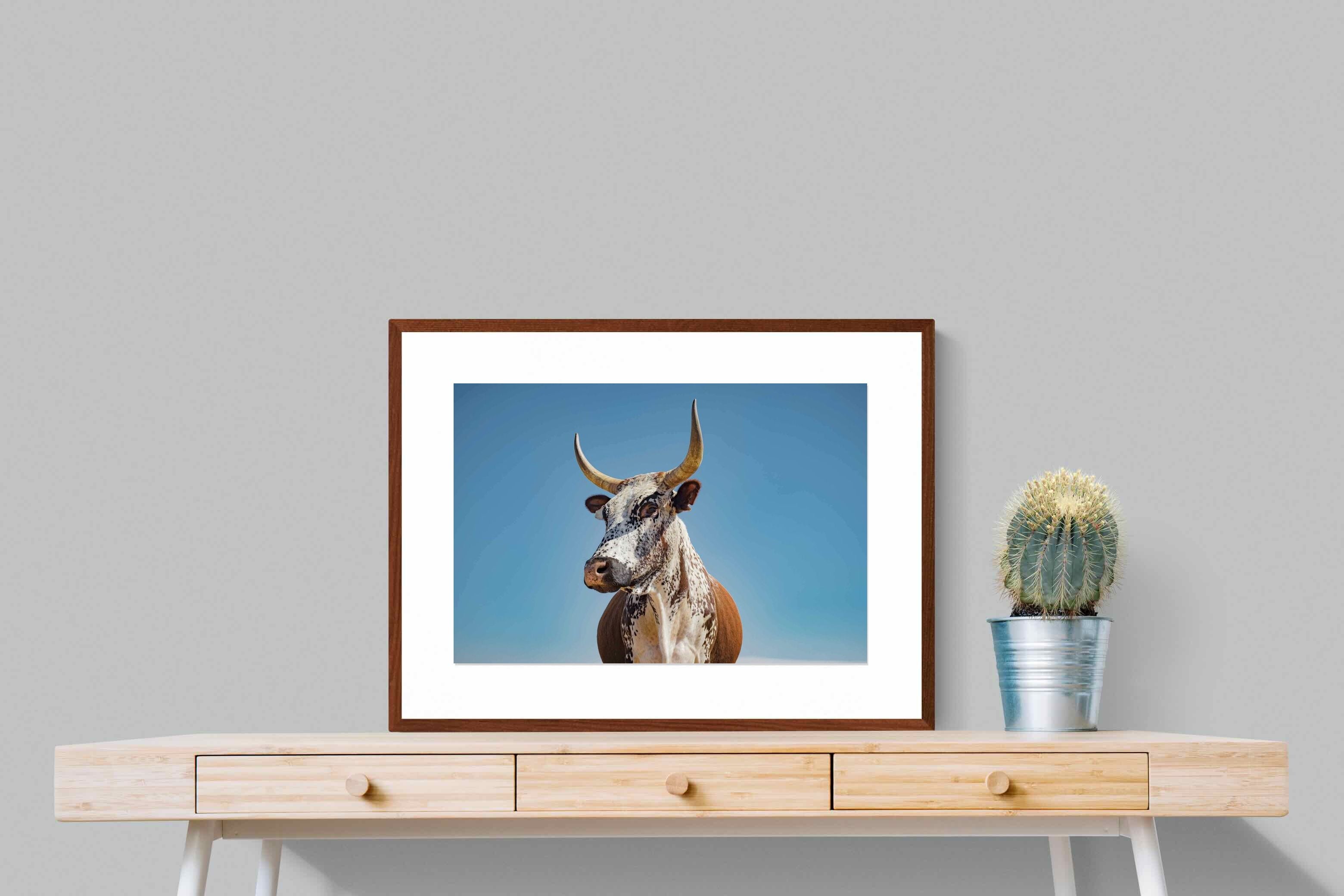 Pixalot ® Brown Nguni