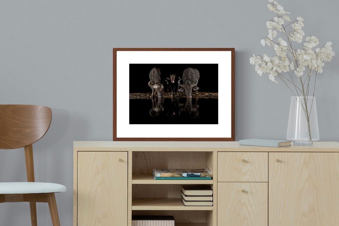 Pixalot ® Buffalo Family