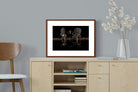 Pixalot ® Buffalo Family