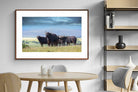 Pixalot ® Buffalo