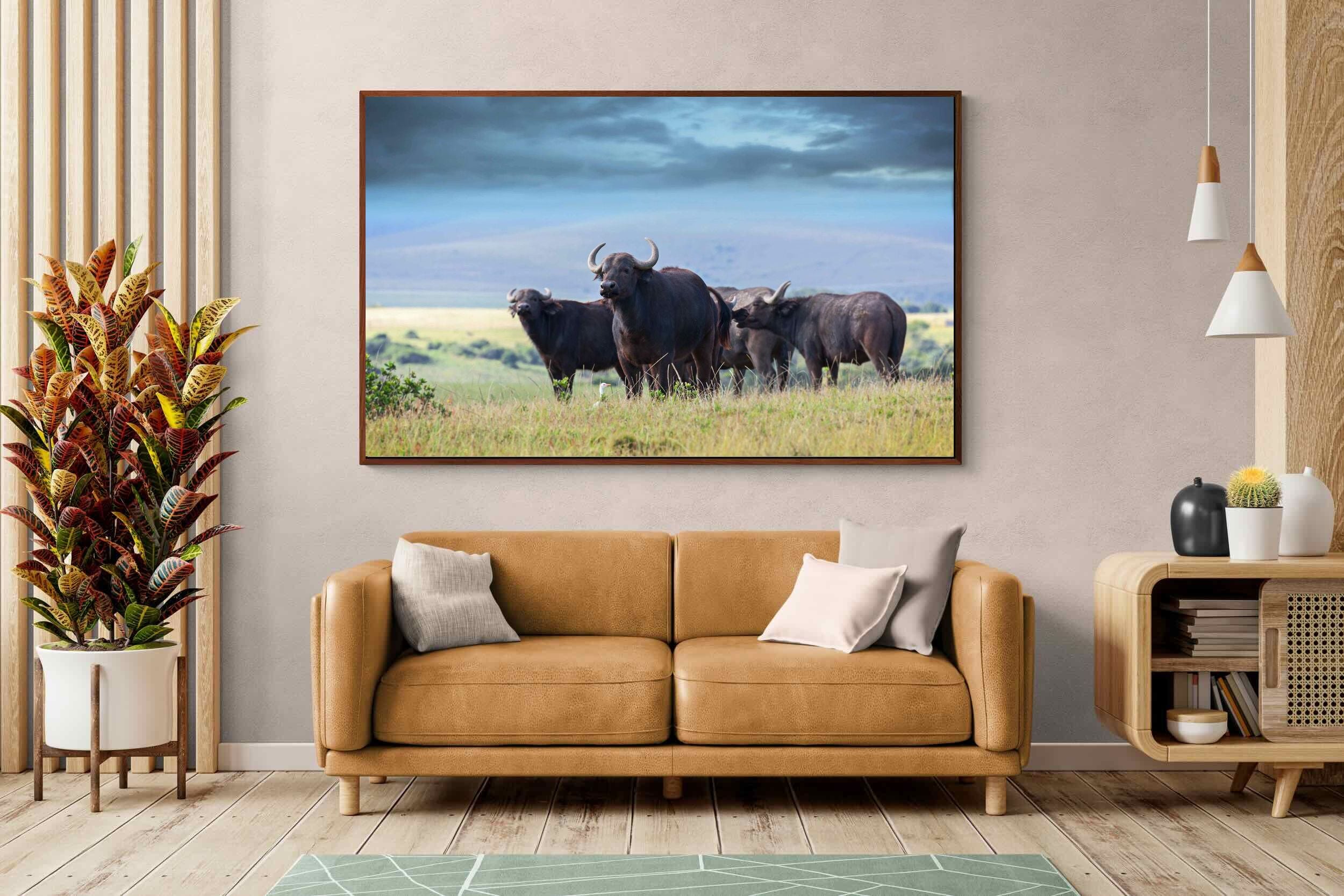 Pixalot ® Buffalo