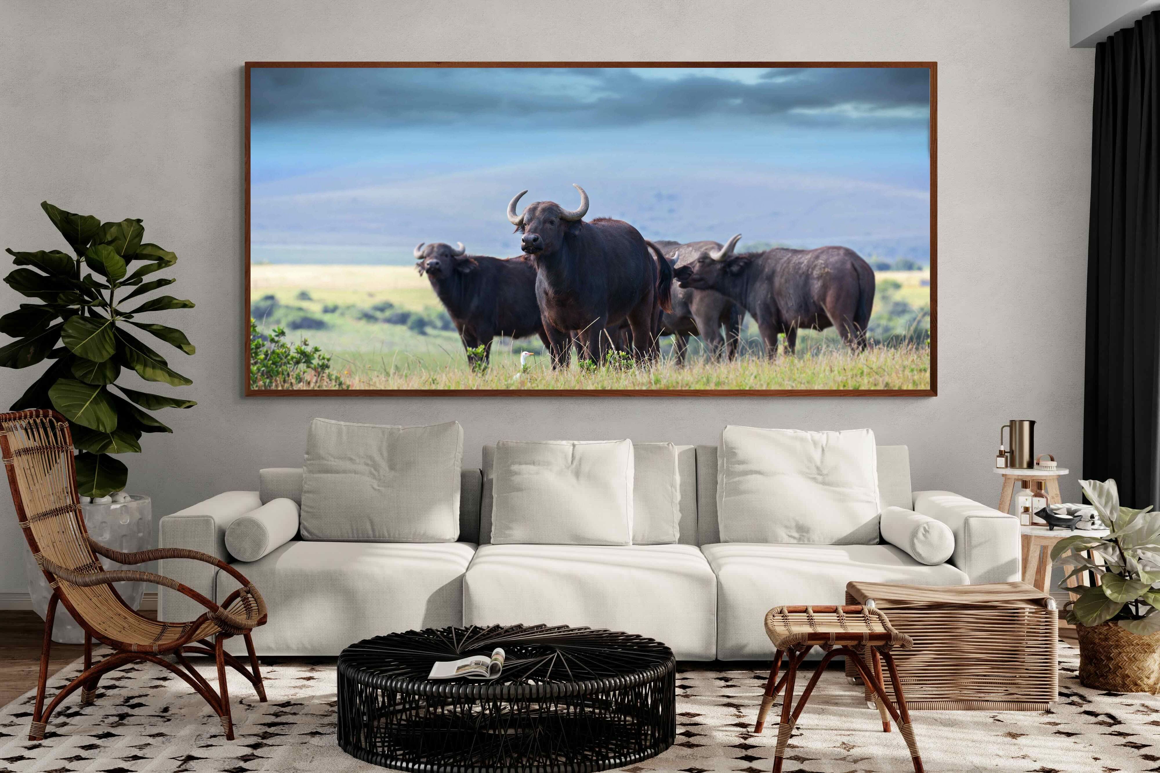 Pixalot ® Buffalo