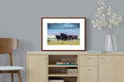 Pixalot ® Buffalo