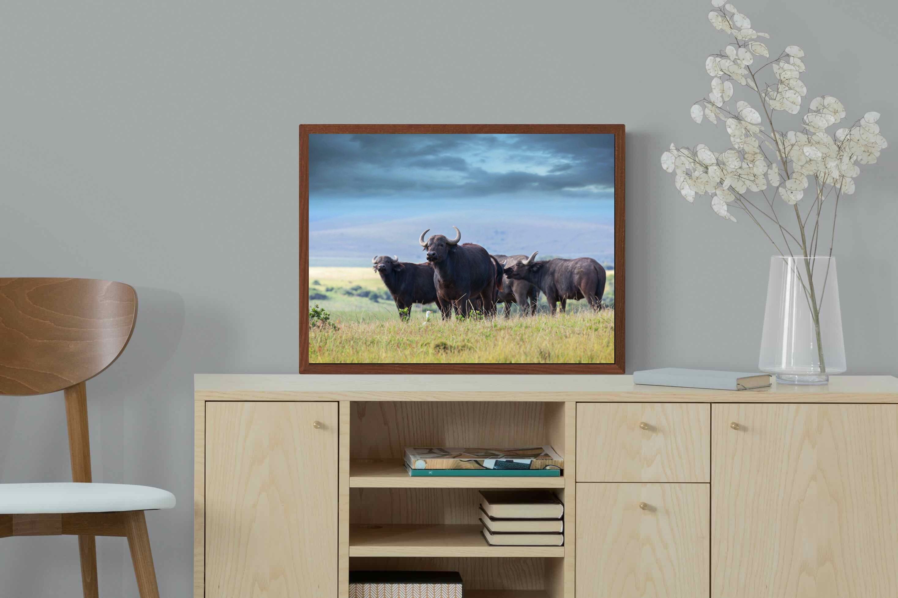 Pixalot ® Buffalo