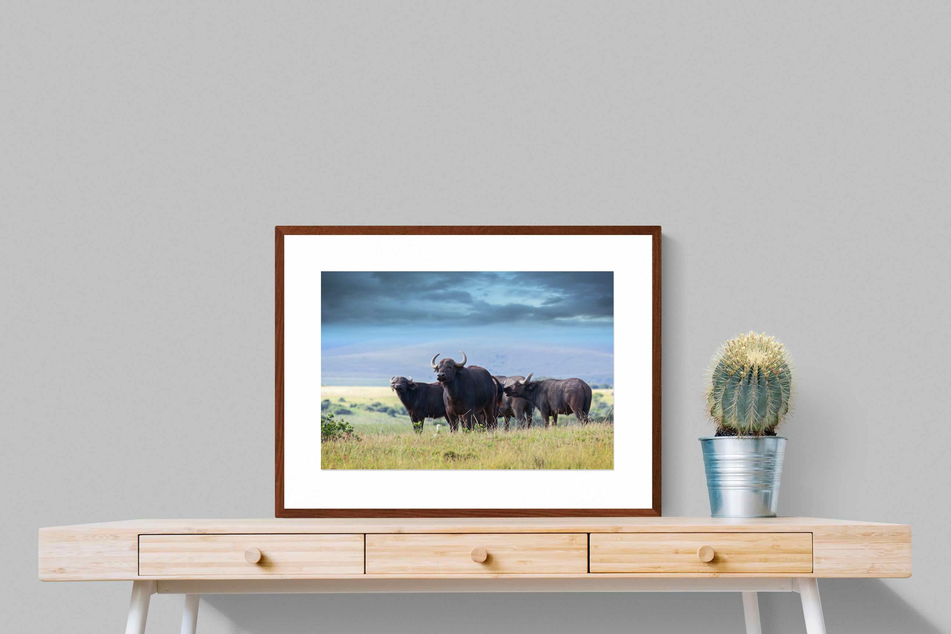 Pixalot ® Buffalo