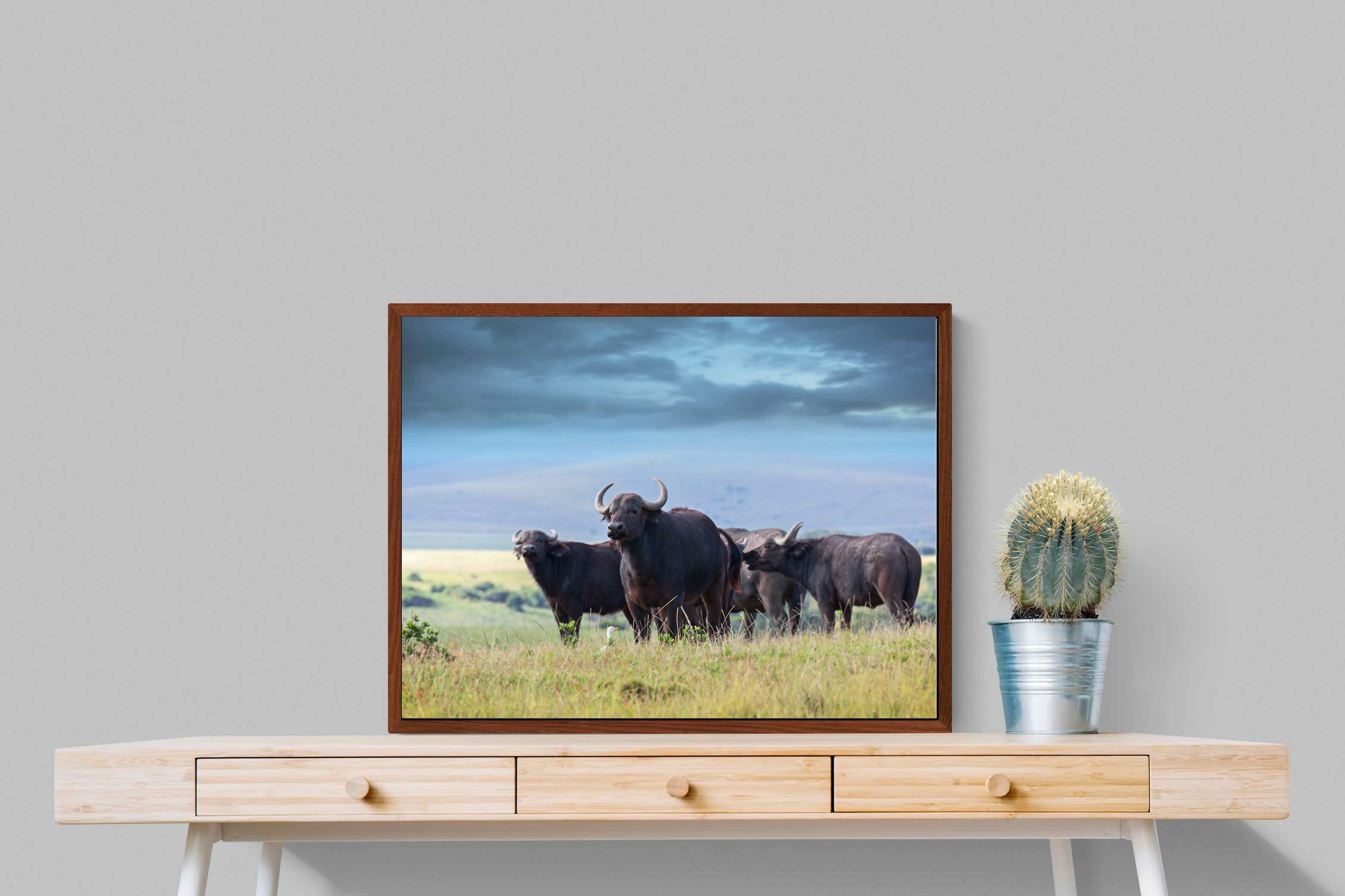 Pixalot ® Buffalo