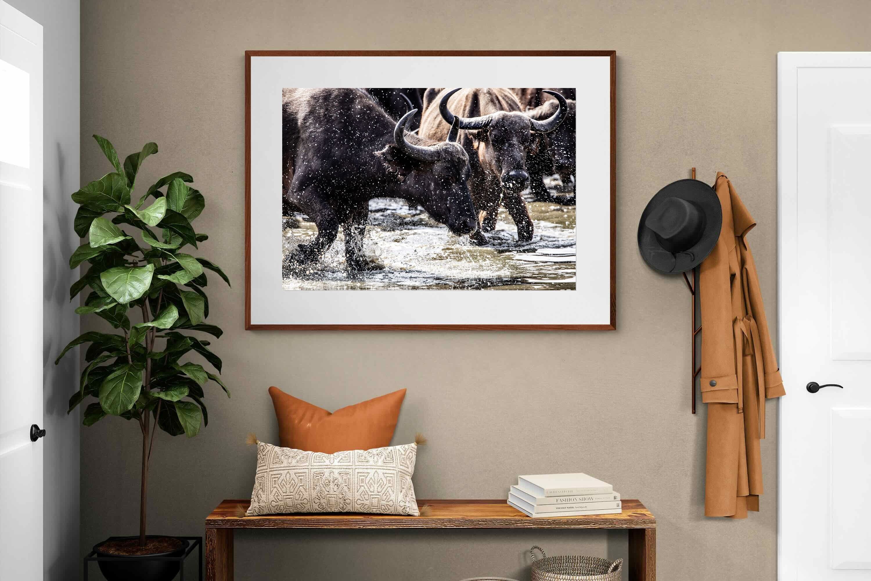 Pixalot Buffalo Splash