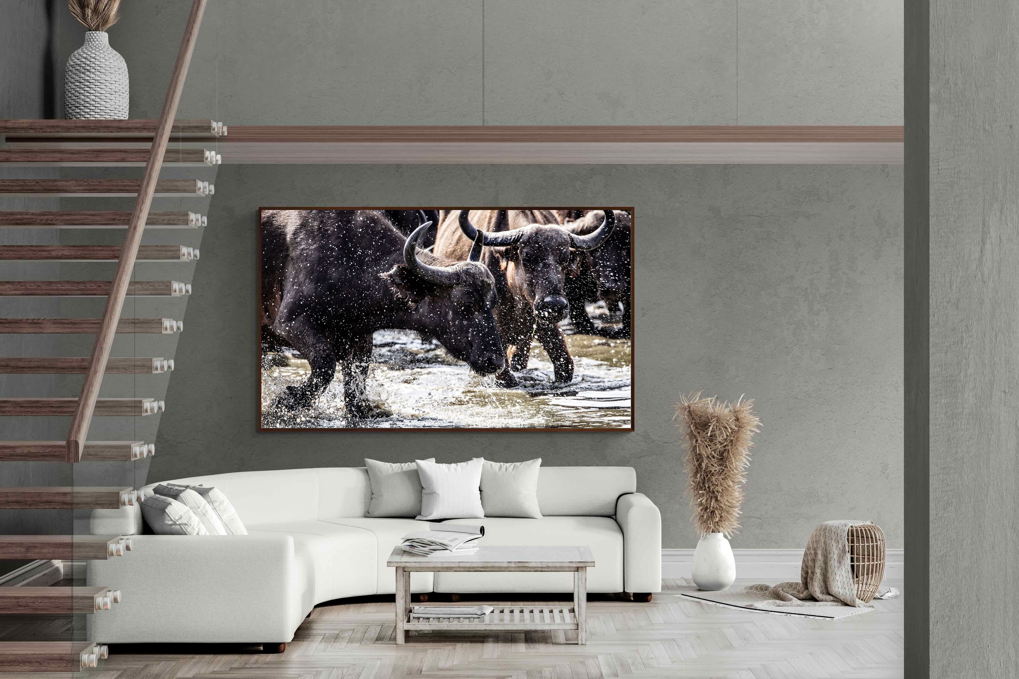 Pixalot Buffalo Splash