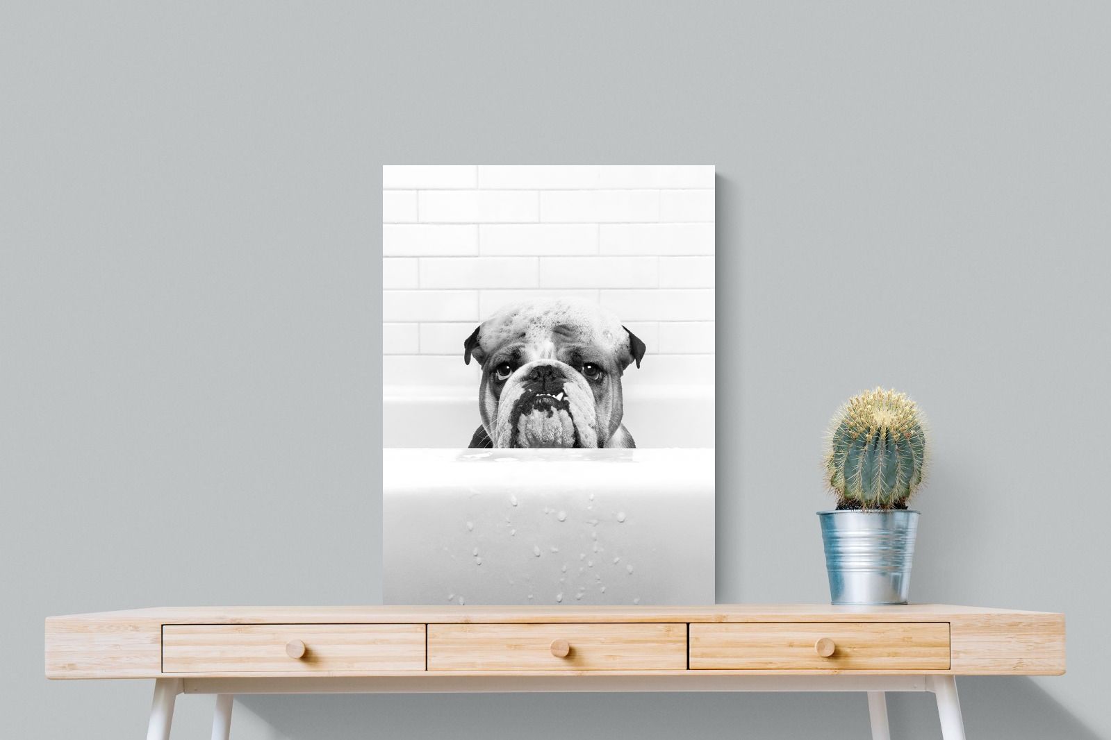 Pixalot Bulldog Tub