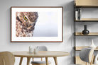 Pixalot ® Burrowing Owl