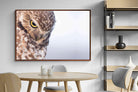 Pixalot ® Burrowing Owl
