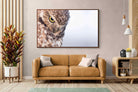Pixalot ® Burrowing Owl
